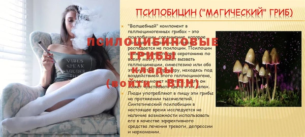 прущий лед Магас