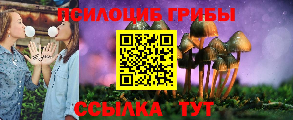 Галлюциногенные грибы MAGIC MUSHROOMS Реж