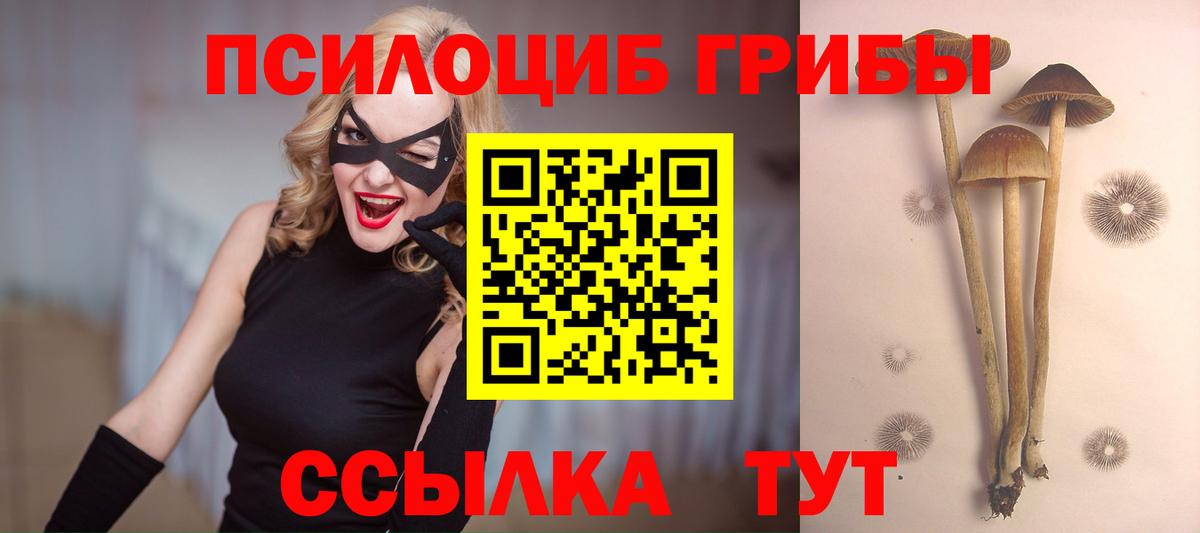 Псилоцибиновые грибы ЛСД  Вход с VPN  Реж 
